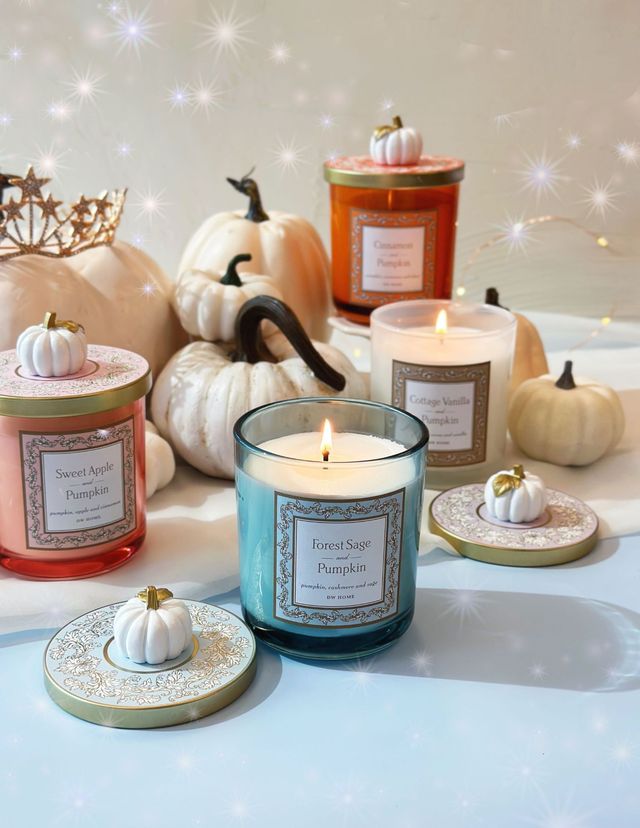 Forest Sage & Pumpkin Candle Single Wick